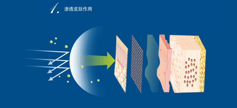采美科普皮肤免疫屏障修护怎么做皮肤屏障是什么