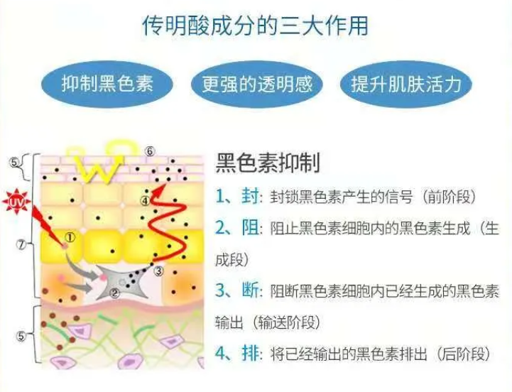 亮白嫩肤丨uface优斐斯传明酸精华液,人手一瓶的亮白精华